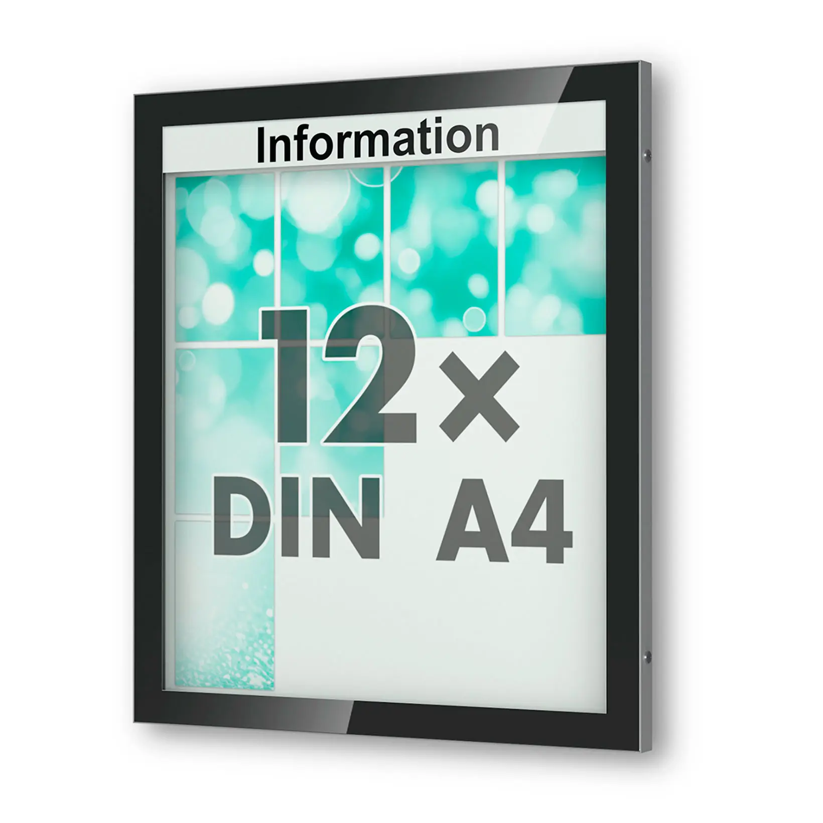 12 x DIN A4 Schaukasten Visus - Wandmontage