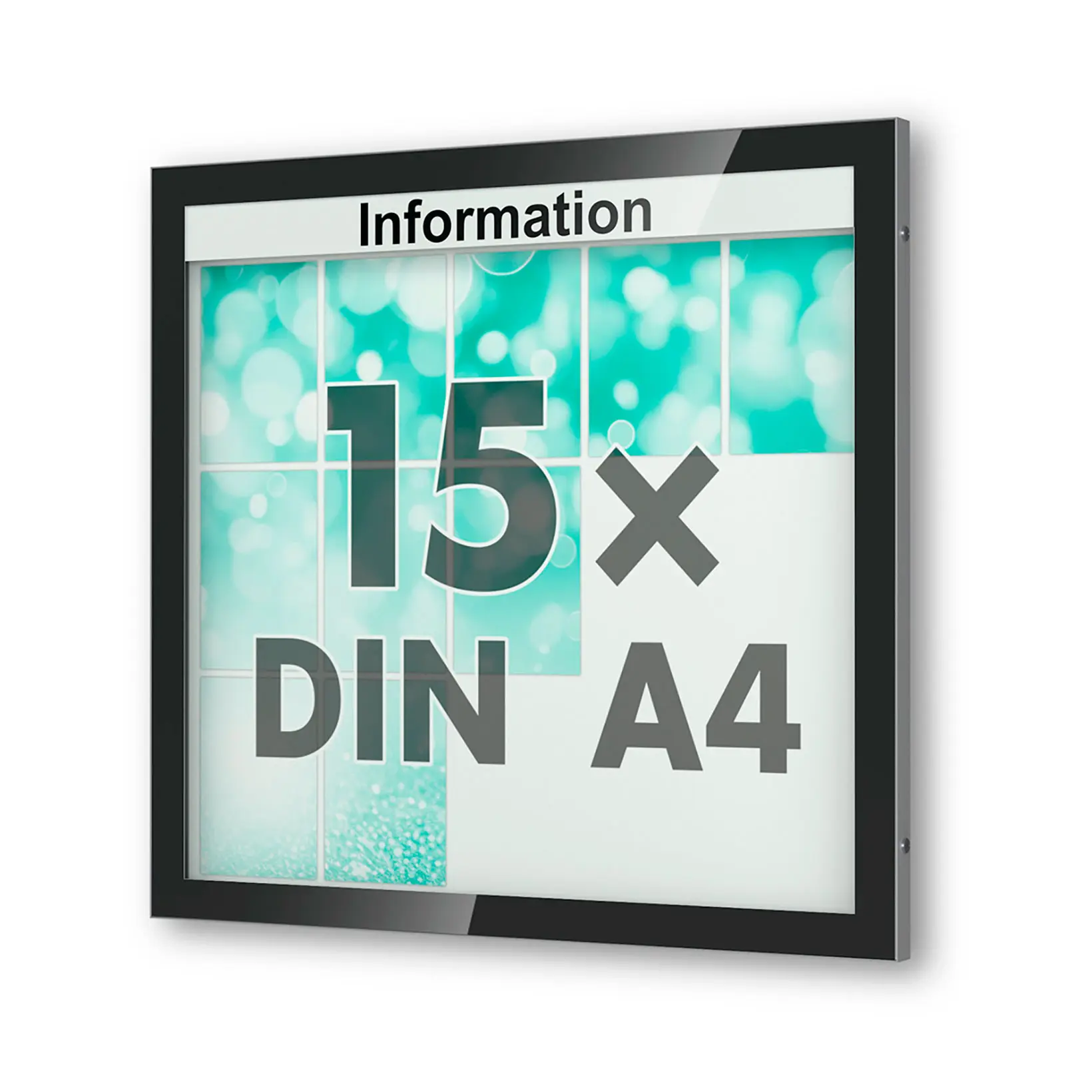 15 x DIN A4 Schaukasten Visus - Wandmontage